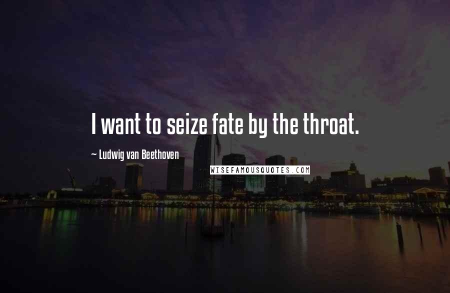 Ludwig Van Beethoven Quotes: I want to seize fate by the throat.