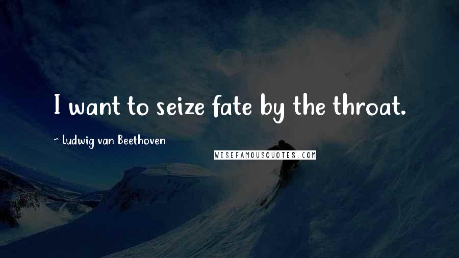 Ludwig Van Beethoven Quotes: I want to seize fate by the throat.