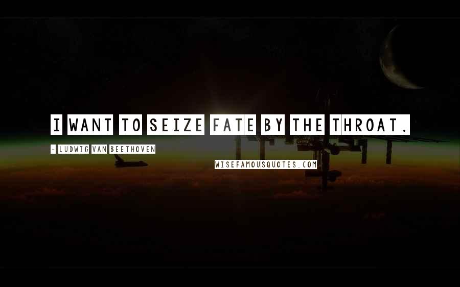Ludwig Van Beethoven Quotes: I want to seize fate by the throat.