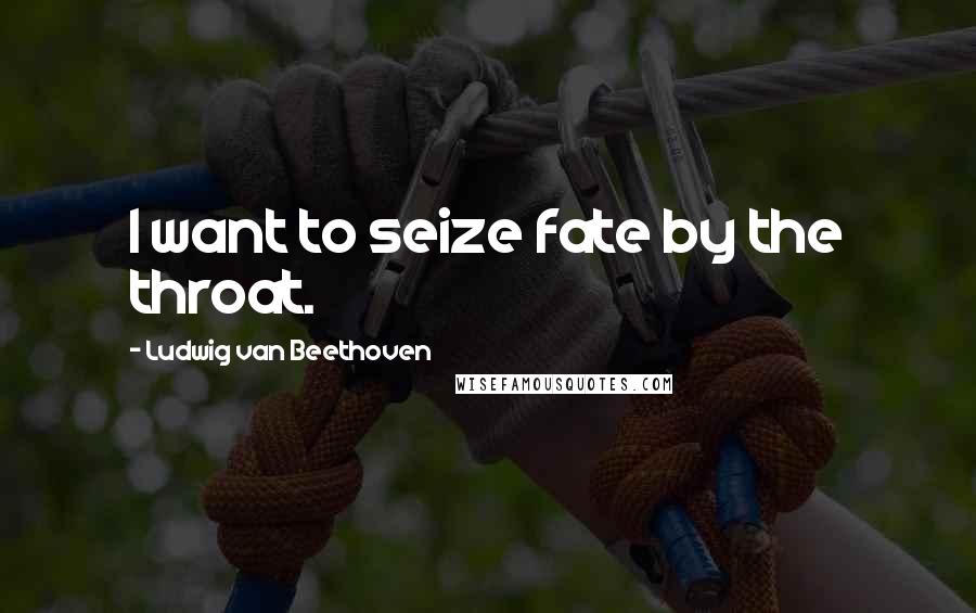 Ludwig Van Beethoven Quotes: I want to seize fate by the throat.