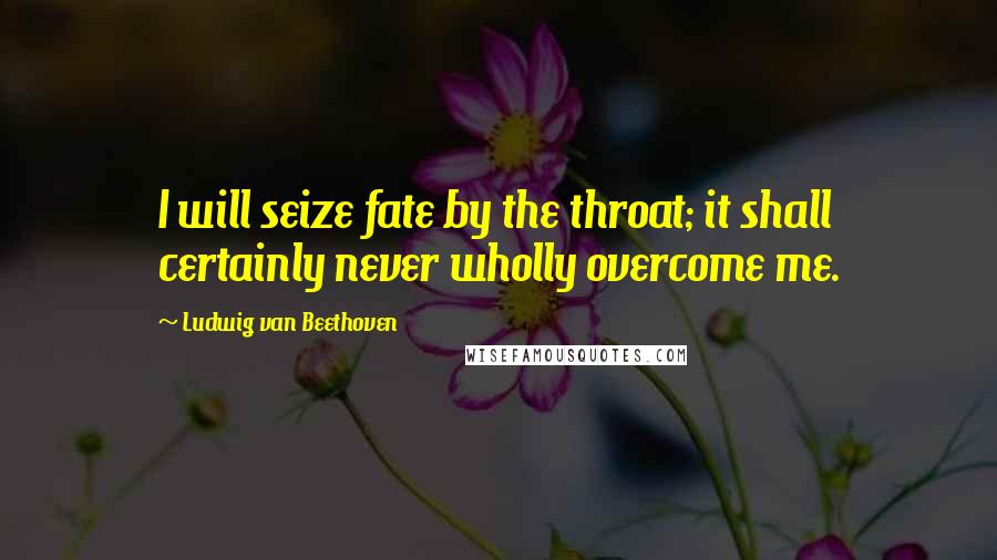 Ludwig Van Beethoven Quotes: I will seize fate by the throat; it shall certainly never wholly overcome me.