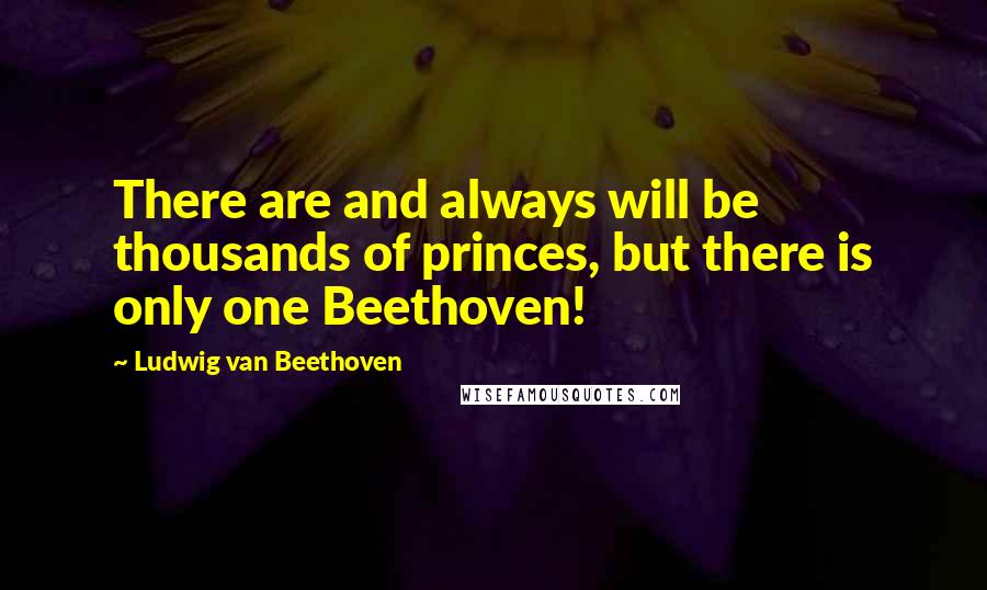 Ludwig Van Beethoven Quotes: There are and always will be thousands of princes, but there is only one Beethoven!