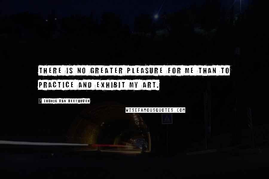 Ludwig Van Beethoven Quotes: There is no greater pleasure for me than to practice and exhibit my art.