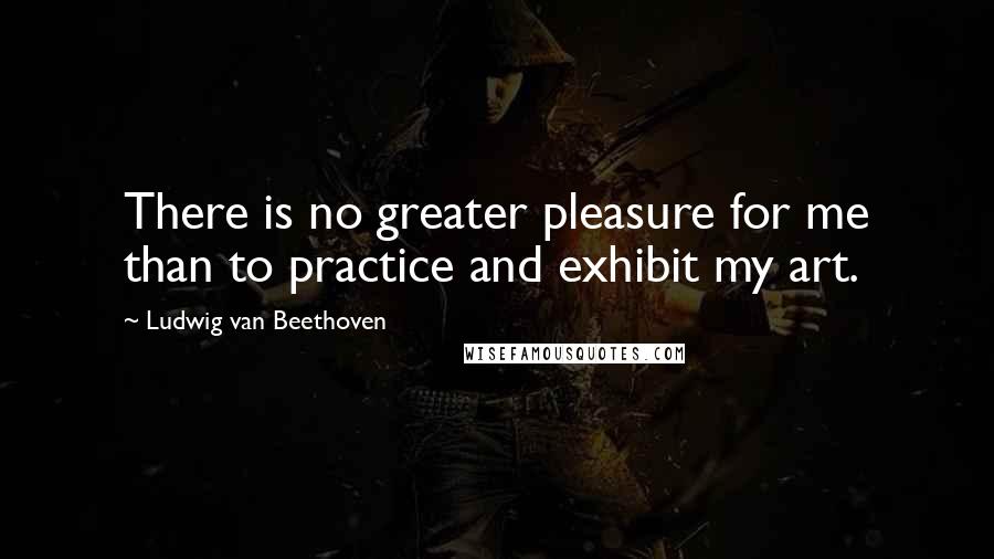 Ludwig Van Beethoven Quotes: There is no greater pleasure for me than to practice and exhibit my art.