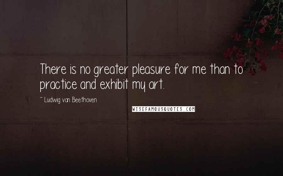 Ludwig Van Beethoven Quotes: There is no greater pleasure for me than to practice and exhibit my art.