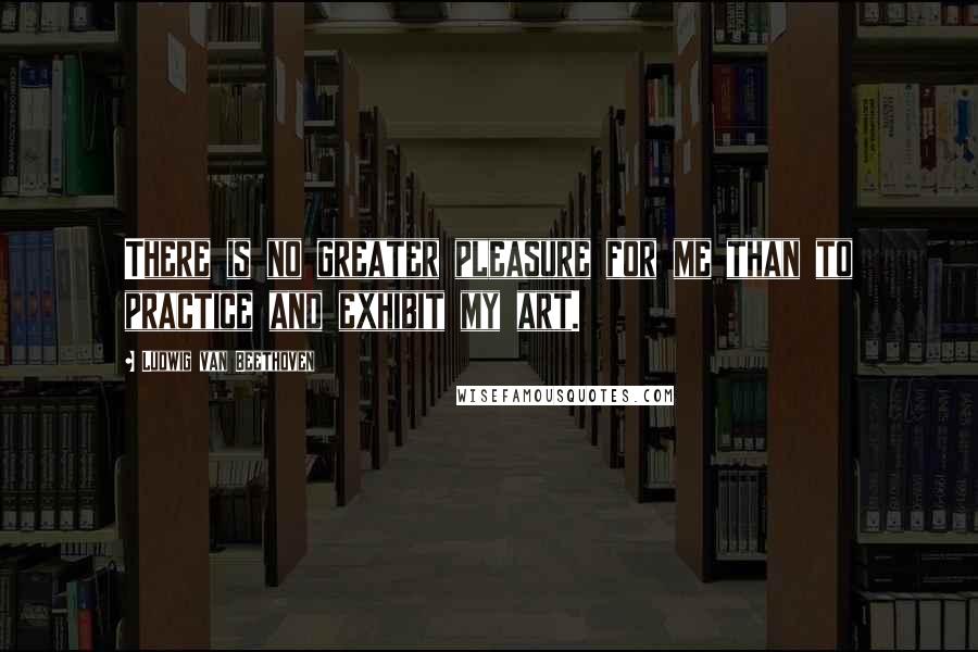 Ludwig Van Beethoven Quotes: There is no greater pleasure for me than to practice and exhibit my art.