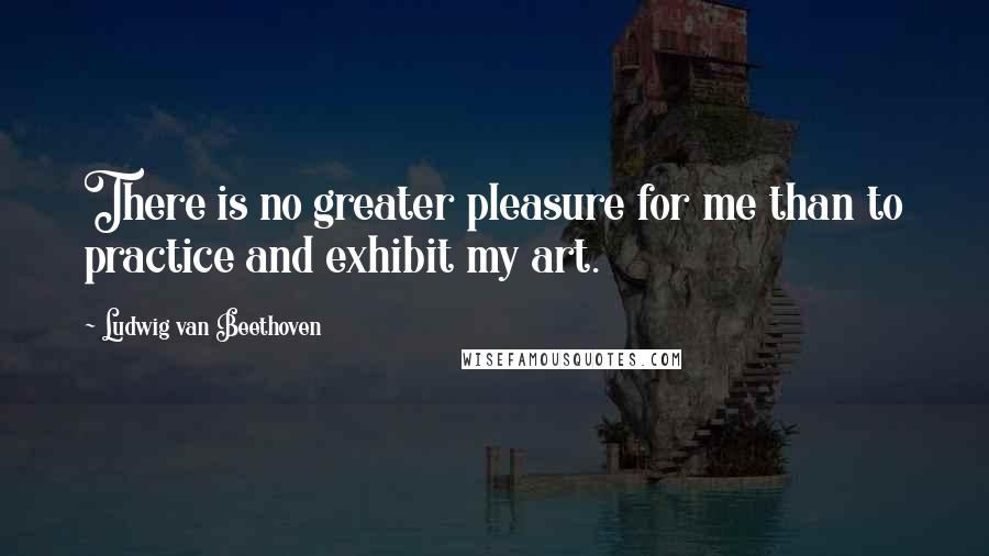 Ludwig Van Beethoven Quotes: There is no greater pleasure for me than to practice and exhibit my art.