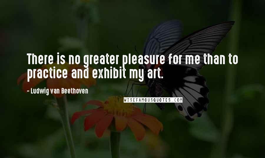 Ludwig Van Beethoven Quotes: There is no greater pleasure for me than to practice and exhibit my art.