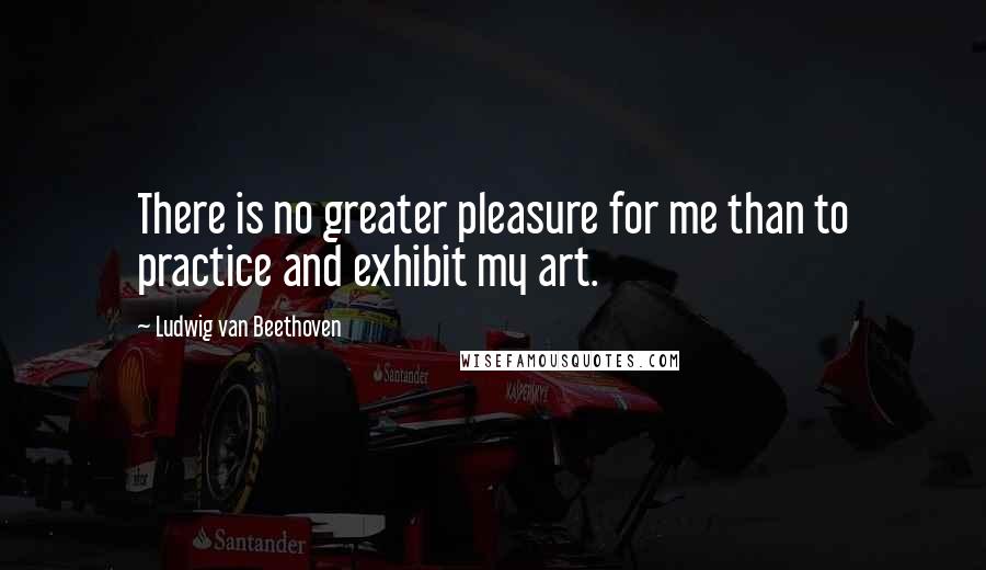 Ludwig Van Beethoven Quotes: There is no greater pleasure for me than to practice and exhibit my art.