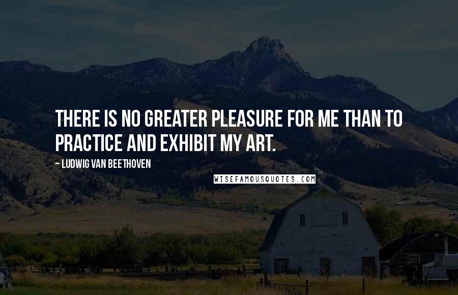 Ludwig Van Beethoven Quotes: There is no greater pleasure for me than to practice and exhibit my art.