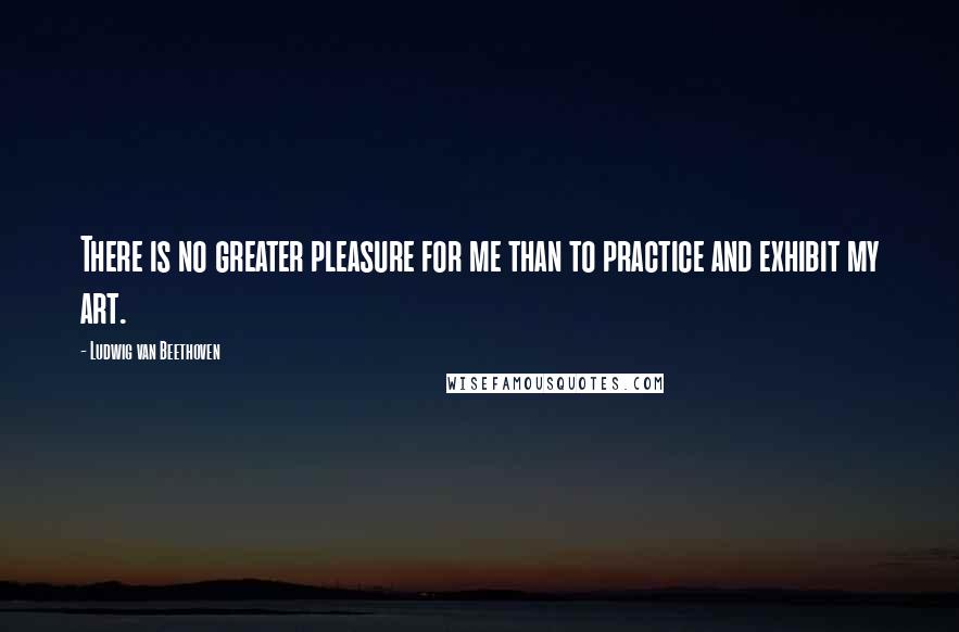 Ludwig Van Beethoven Quotes: There is no greater pleasure for me than to practice and exhibit my art.