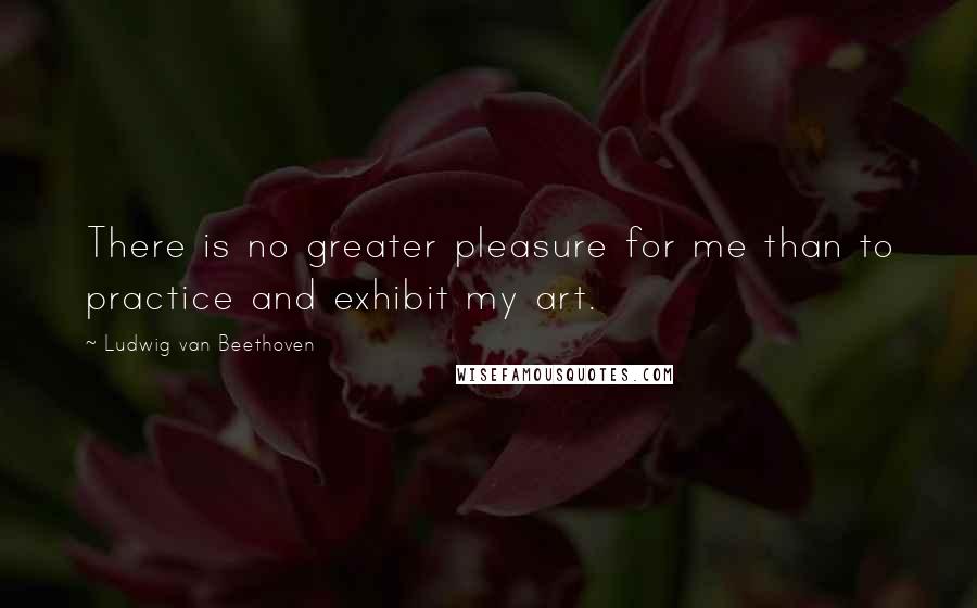 Ludwig Van Beethoven Quotes: There is no greater pleasure for me than to practice and exhibit my art.