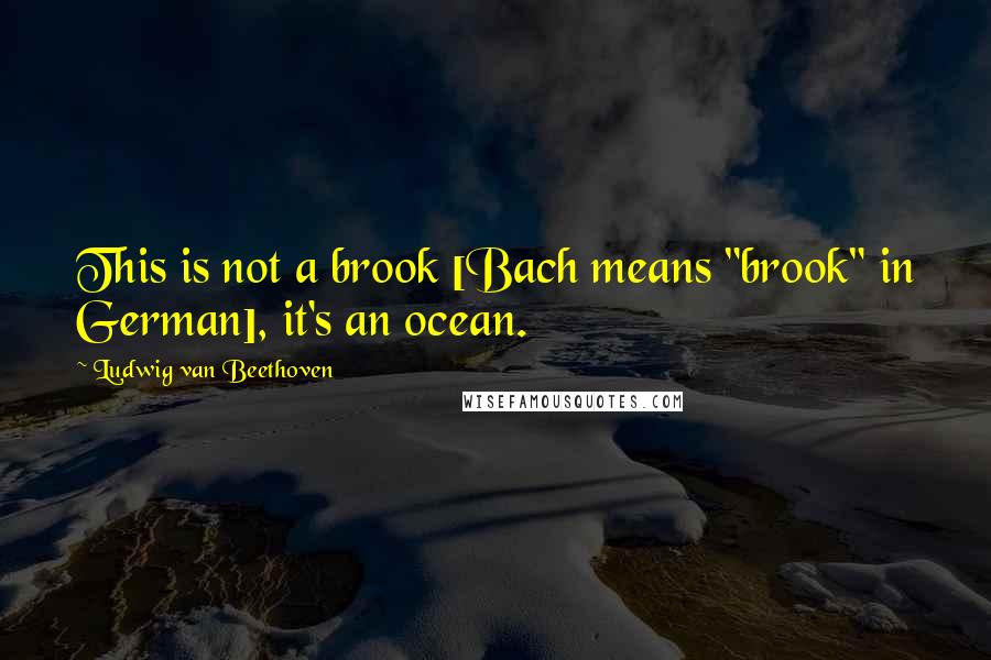 Ludwig Van Beethoven Quotes: This is not a brook [Bach means "brook" in German], it's an ocean.