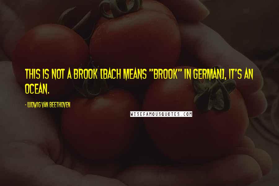 Ludwig Van Beethoven Quotes: This is not a brook [Bach means "brook" in German], it's an ocean.