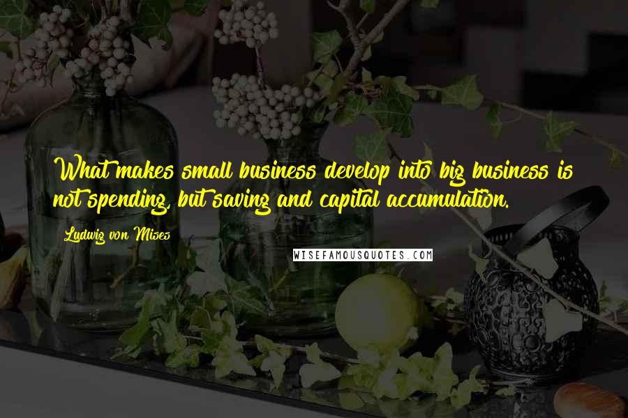 Ludwig Von Mises Quotes: What makes small business develop into big business is not spending, but saving and capital accumulation.