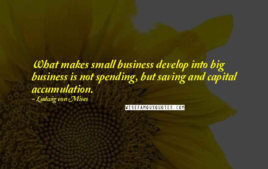 Ludwig Von Mises Quotes: What makes small business develop into big business is not spending, but saving and capital accumulation.