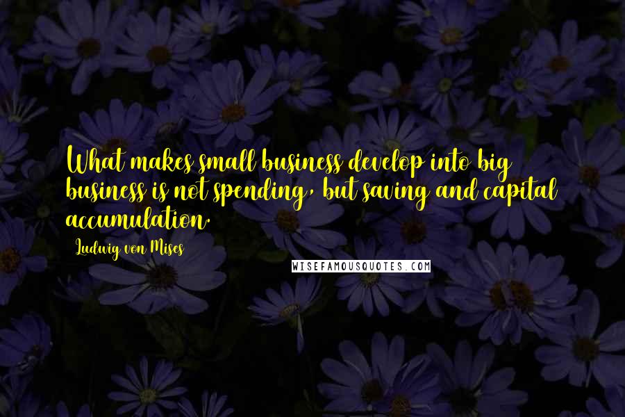 Ludwig Von Mises Quotes: What makes small business develop into big business is not spending, but saving and capital accumulation.