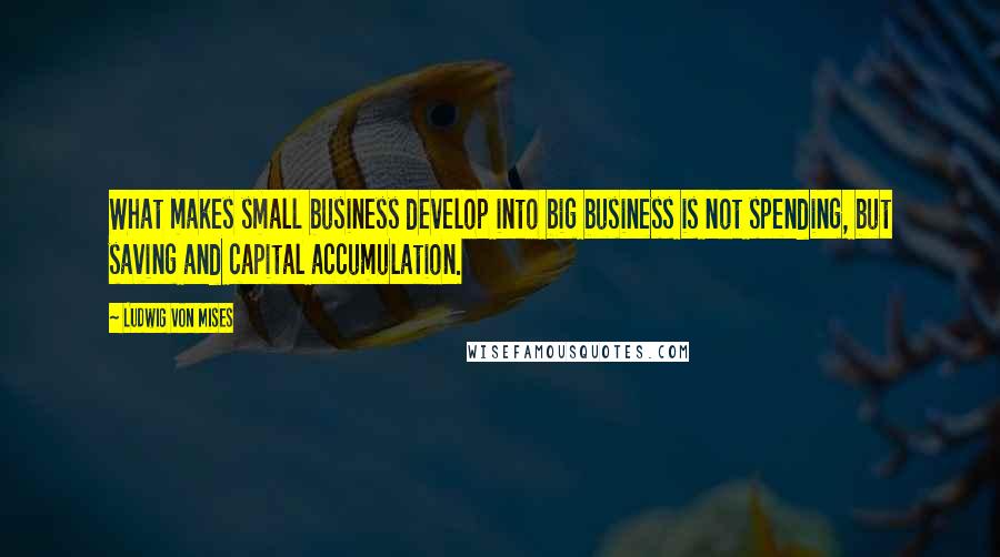 Ludwig Von Mises Quotes: What makes small business develop into big business is not spending, but saving and capital accumulation.