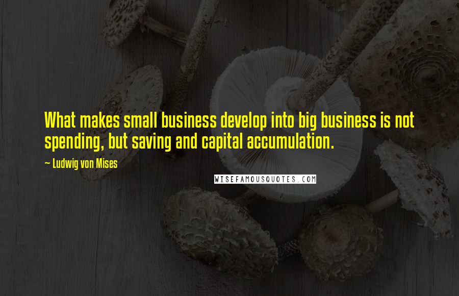 Ludwig Von Mises Quotes: What makes small business develop into big business is not spending, but saving and capital accumulation.