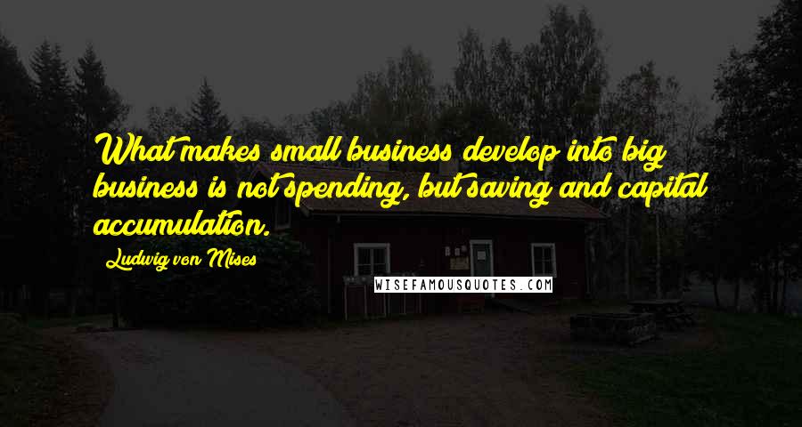 Ludwig Von Mises Quotes: What makes small business develop into big business is not spending, but saving and capital accumulation.