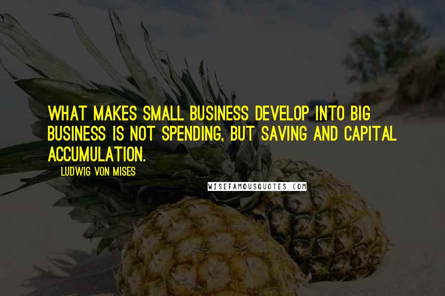 Ludwig Von Mises Quotes: What makes small business develop into big business is not spending, but saving and capital accumulation.