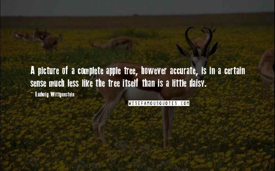 Ludwig Wittgenstein Quotes: A picture of a complete apple tree, however accurate, is in a certain sense much less like the tree itself than is a little daisy.