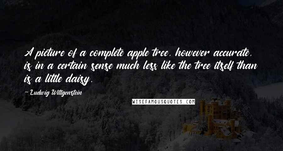 Ludwig Wittgenstein Quotes: A picture of a complete apple tree, however accurate, is in a certain sense much less like the tree itself than is a little daisy.