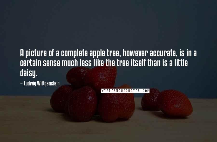 Ludwig Wittgenstein Quotes: A picture of a complete apple tree, however accurate, is in a certain sense much less like the tree itself than is a little daisy.