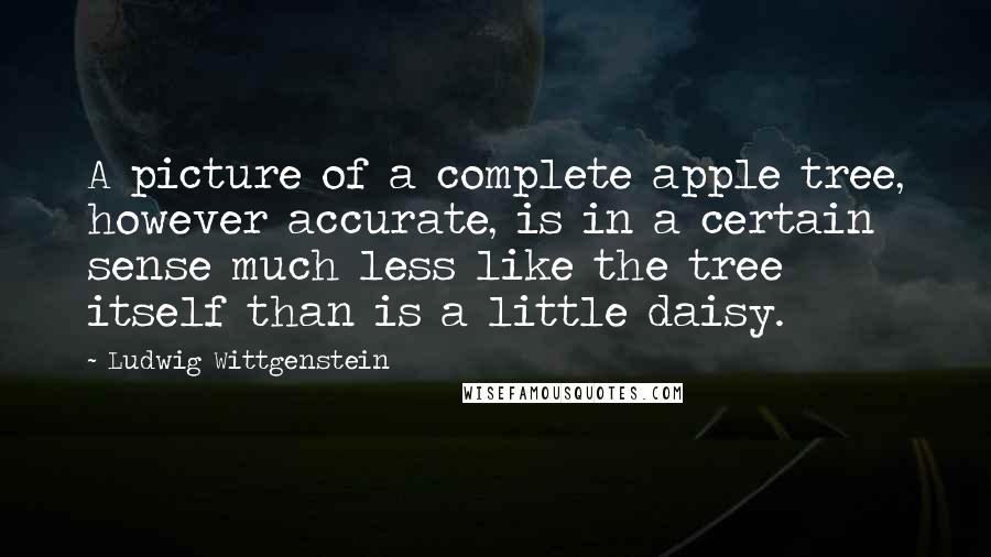 Ludwig Wittgenstein Quotes: A picture of a complete apple tree, however accurate, is in a certain sense much less like the tree itself than is a little daisy.