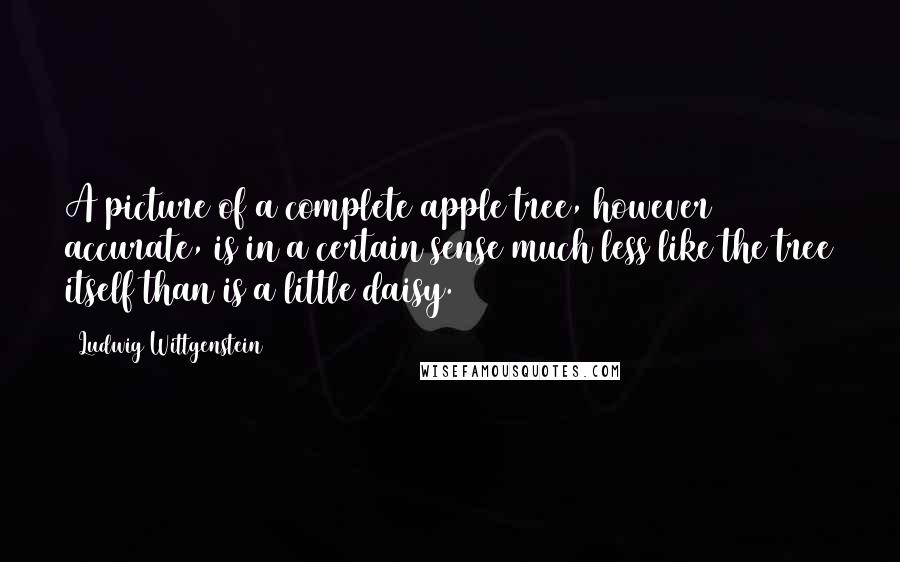 Ludwig Wittgenstein Quotes: A picture of a complete apple tree, however accurate, is in a certain sense much less like the tree itself than is a little daisy.