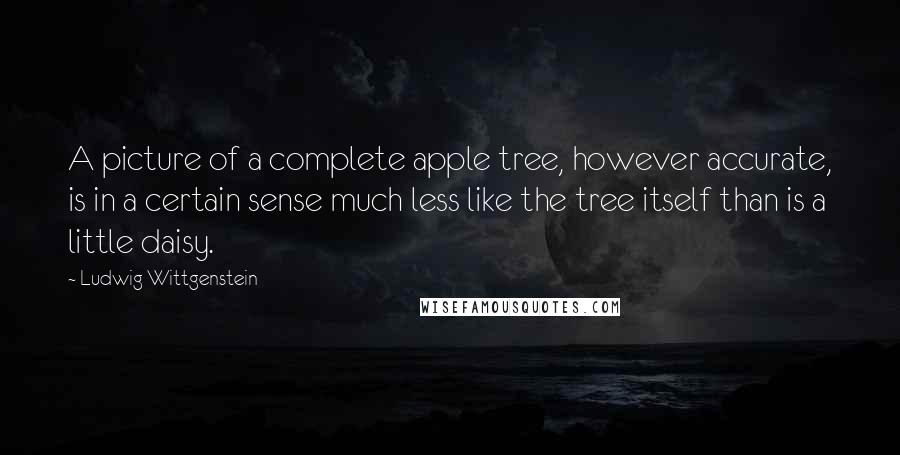 Ludwig Wittgenstein Quotes: A picture of a complete apple tree, however accurate, is in a certain sense much less like the tree itself than is a little daisy.