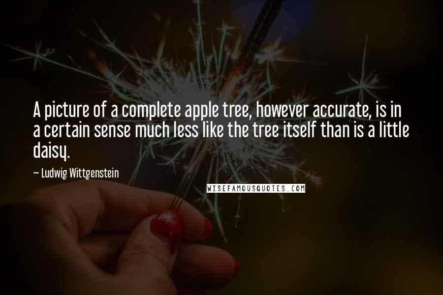 Ludwig Wittgenstein Quotes: A picture of a complete apple tree, however accurate, is in a certain sense much less like the tree itself than is a little daisy.