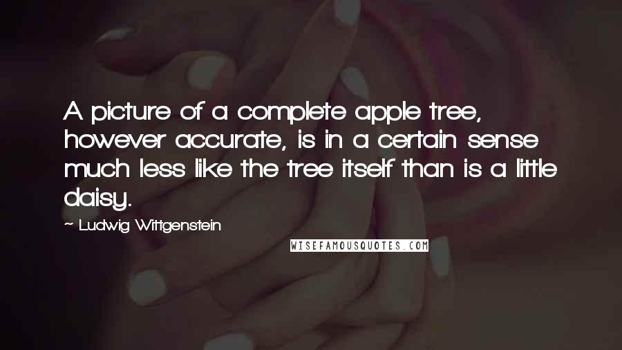 Ludwig Wittgenstein Quotes: A picture of a complete apple tree, however accurate, is in a certain sense much less like the tree itself than is a little daisy.