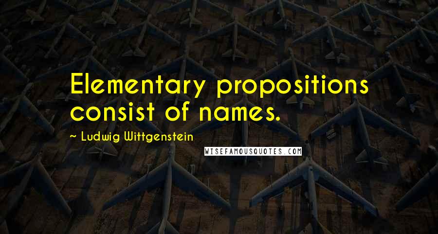 Ludwig Wittgenstein Quotes: Elementary propositions consist of names.