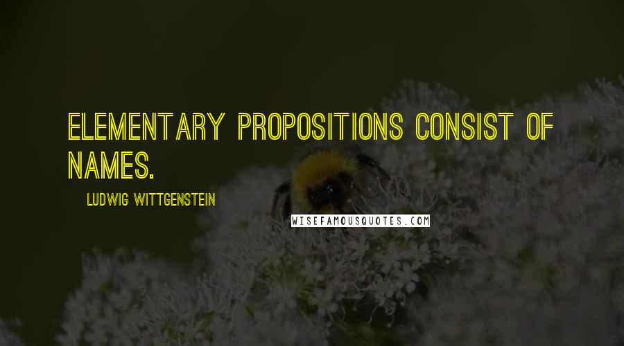 Ludwig Wittgenstein Quotes: Elementary propositions consist of names.
