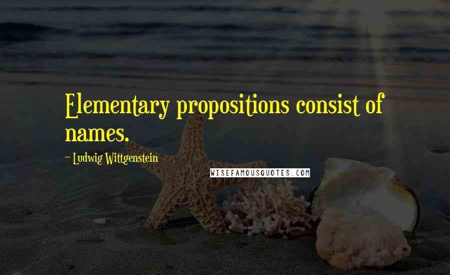 Ludwig Wittgenstein Quotes: Elementary propositions consist of names.