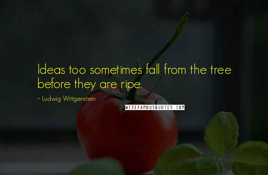 Ludwig Wittgenstein Quotes: Ideas too sometimes fall from the tree before they are ripe.