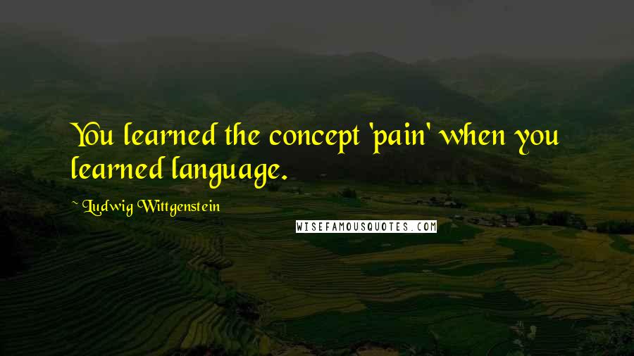 Ludwig Wittgenstein Quotes: You learned the concept 'pain' when you learned language.