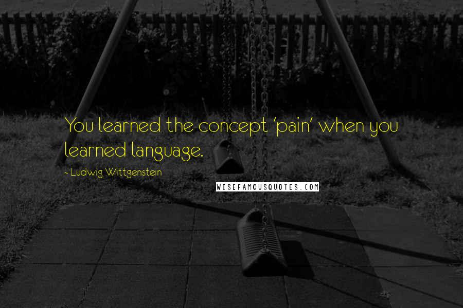 Ludwig Wittgenstein Quotes: You learned the concept 'pain' when you learned language.