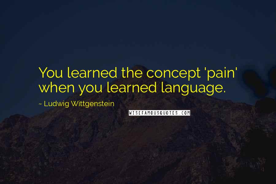 Ludwig Wittgenstein Quotes: You learned the concept 'pain' when you learned language.