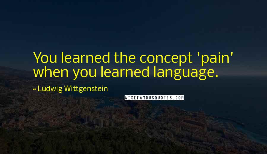 Ludwig Wittgenstein Quotes: You learned the concept 'pain' when you learned language.