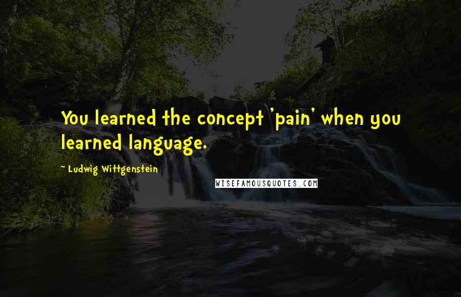 Ludwig Wittgenstein Quotes: You learned the concept 'pain' when you learned language.