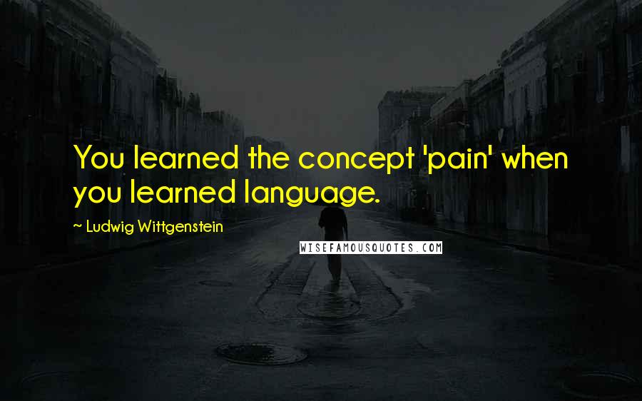 Ludwig Wittgenstein Quotes: You learned the concept 'pain' when you learned language.