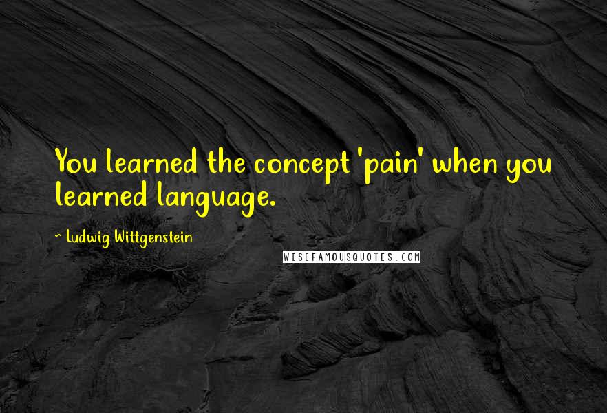Ludwig Wittgenstein Quotes: You learned the concept 'pain' when you learned language.