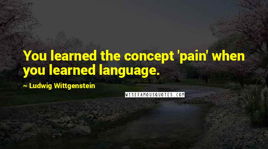 Ludwig Wittgenstein Quotes: You learned the concept 'pain' when you learned language.