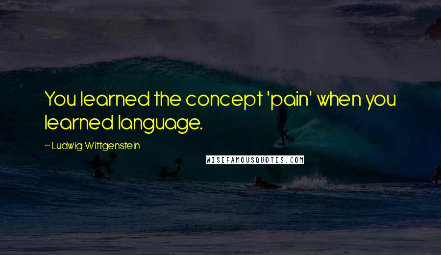 Ludwig Wittgenstein Quotes: You learned the concept 'pain' when you learned language.