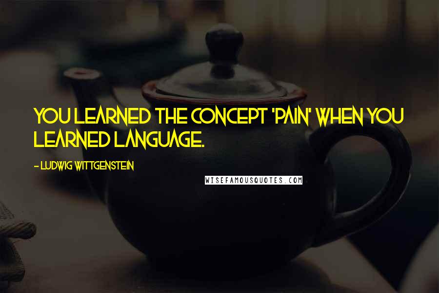 Ludwig Wittgenstein Quotes: You learned the concept 'pain' when you learned language.