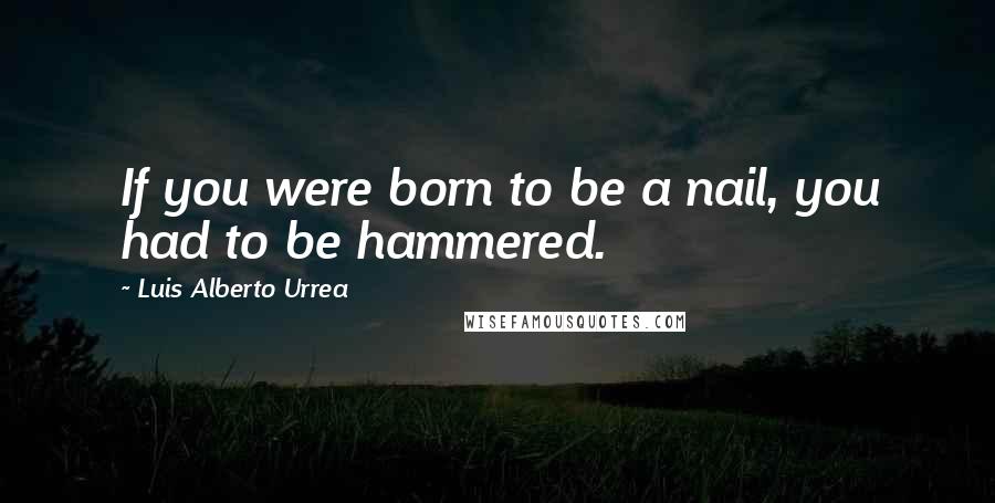 Luis Alberto Urrea Quotes: If you were born to be a nail, you had to be hammered.