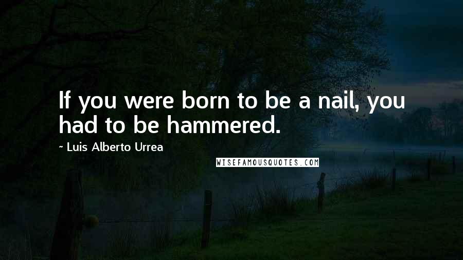 Luis Alberto Urrea Quotes: If you were born to be a nail, you had to be hammered.