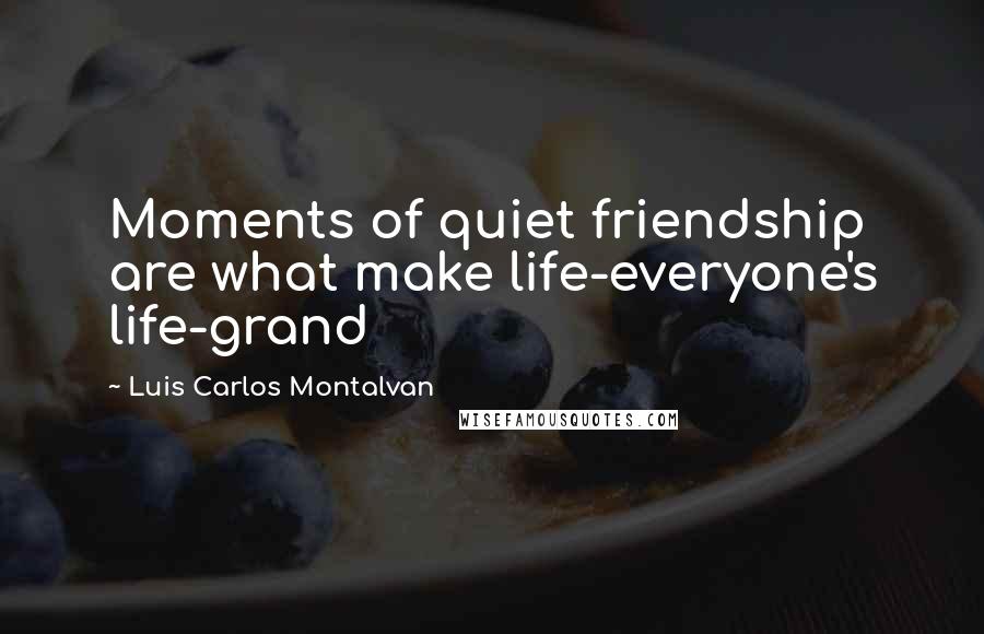 Luis Carlos Montalvan Quotes: Moments of quiet friendship are what make life-everyone's life-grand